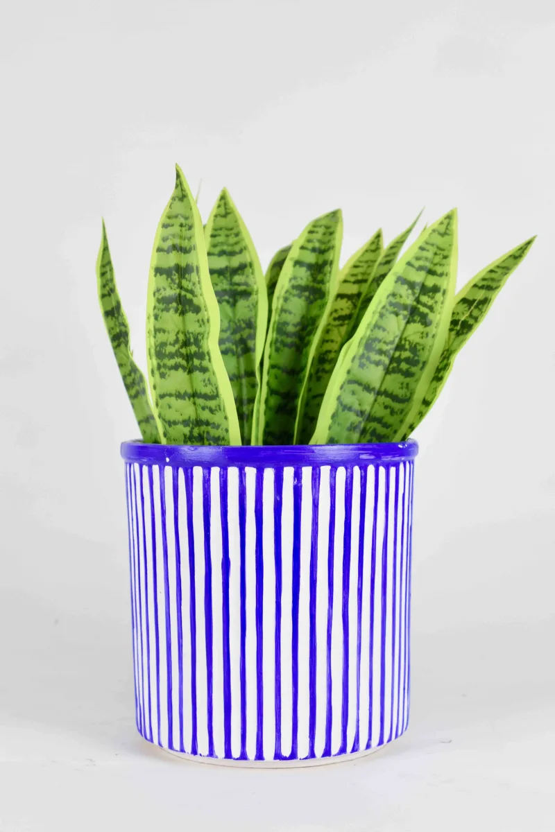 Classic Ceramic Planter — 6" Dia × 6.5" Height — Primary View