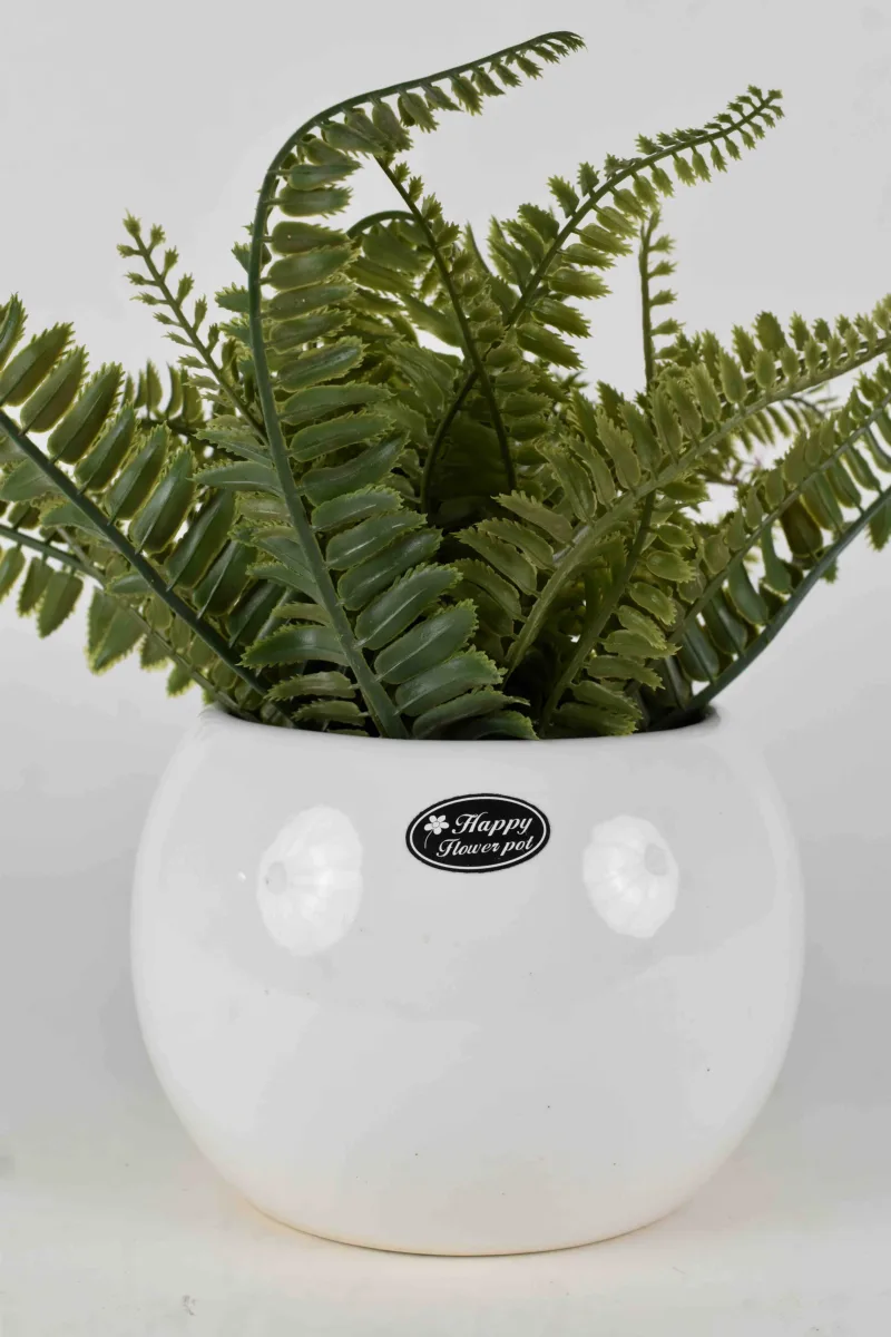Classic Ceramic Planter — 4.5" Dia × 4" Height — Primary View