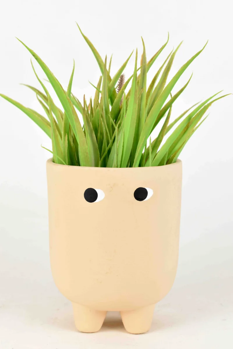 Classic Ceramic Planter — 5.5" Dia × 5" Height — Primary View