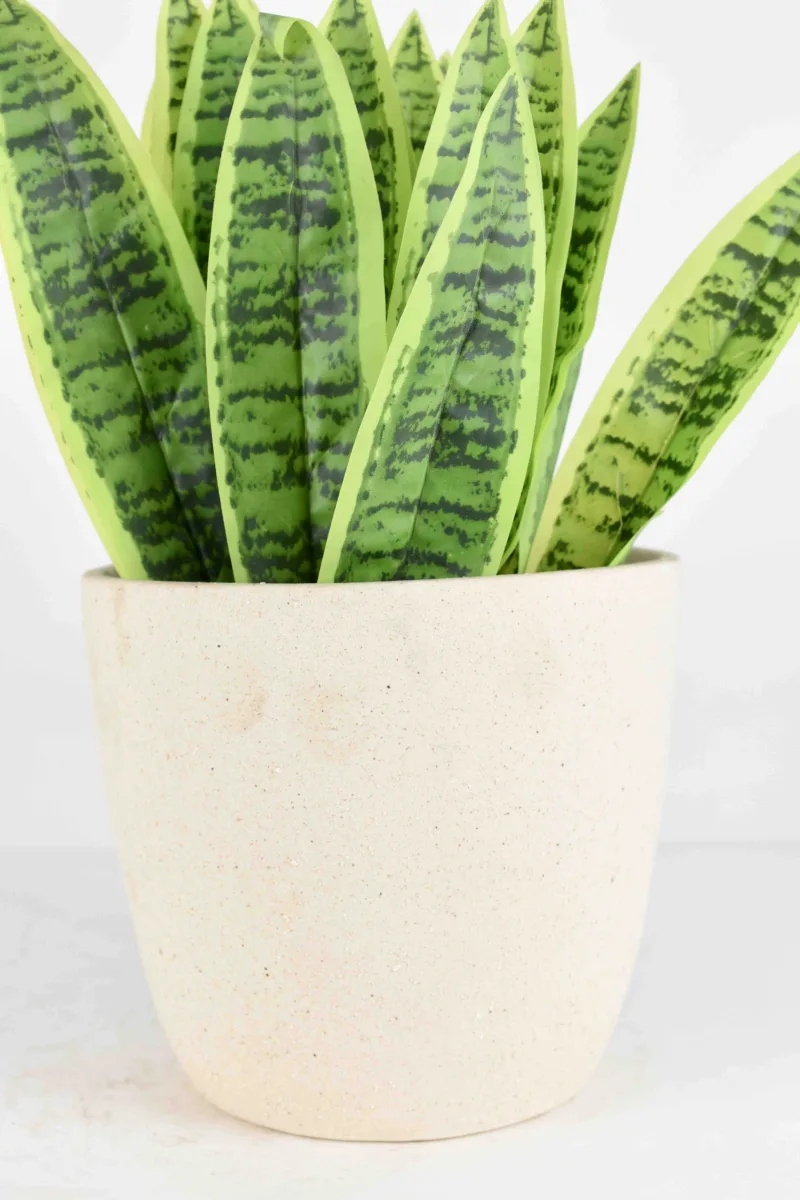 Classic Ceramic Planter — 4.5" Dia × 4" Height — Primary View