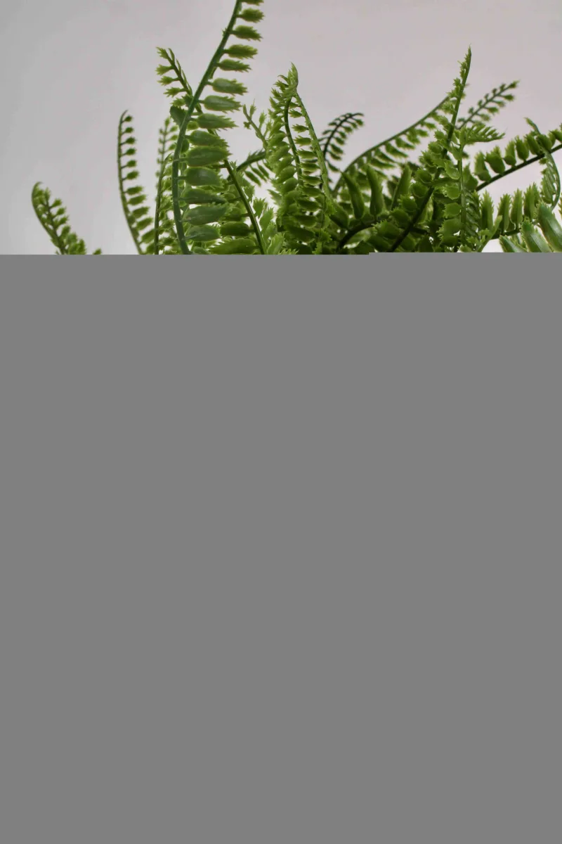 Classic Ceramic Planter — 4.5" Dia × 5" Height — Primary View