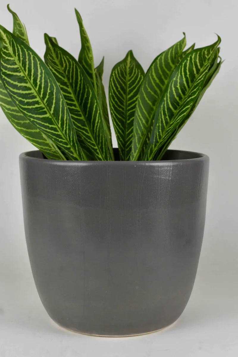 Classic Ceramic Planter — 6" Dia × 4" Height — Primary View