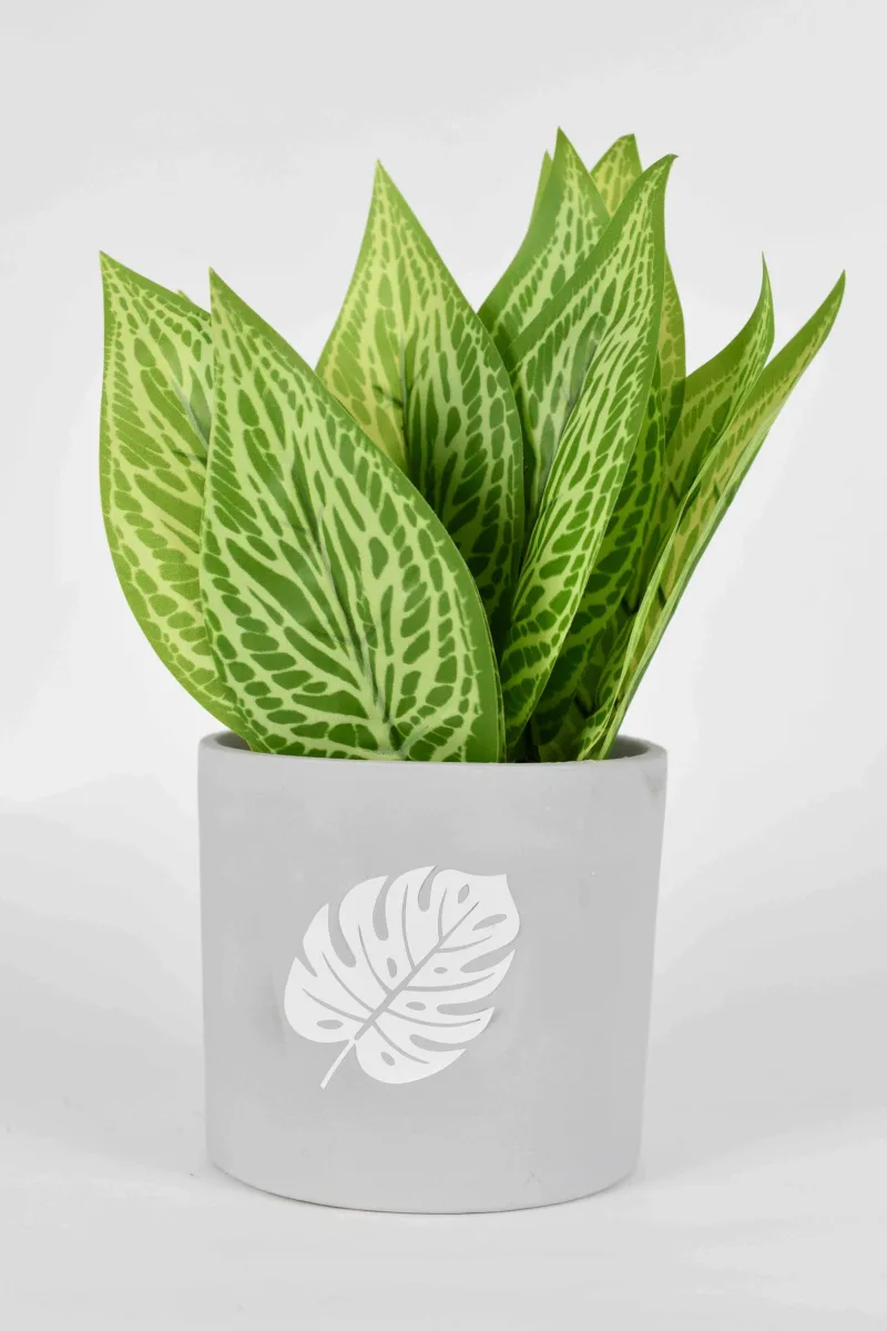 Classic Ceramic Planter — 4" Dia × 4" Height — Primary View