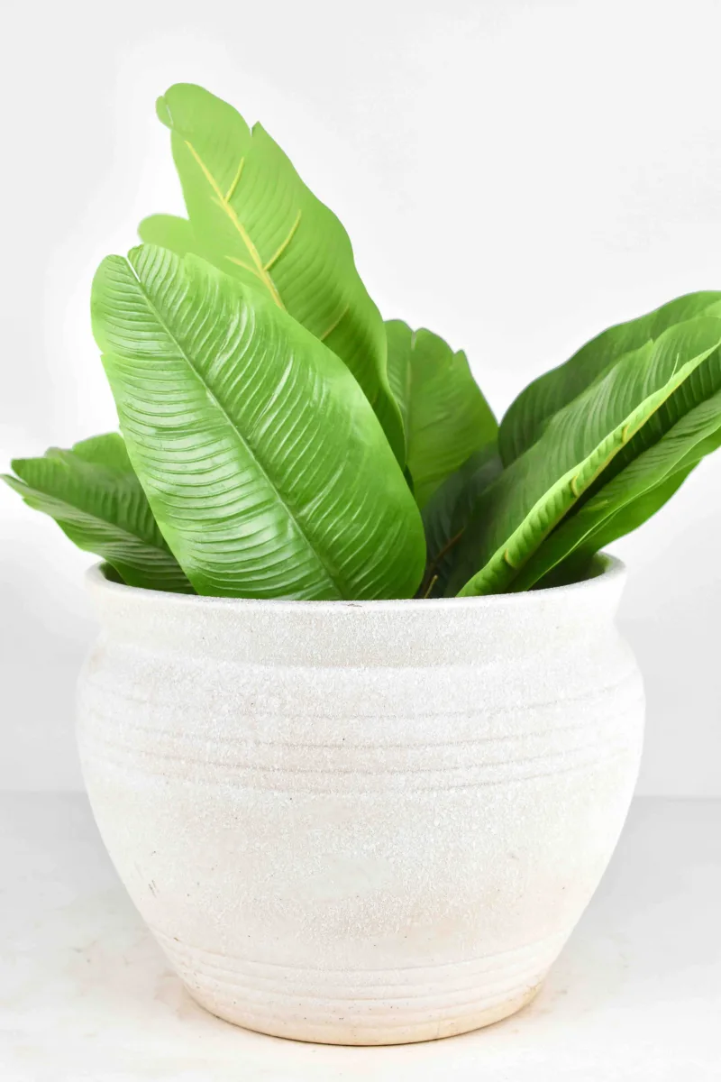 Classic Ceramic Planter — 8.5" Dia × 6.5" Height — Primary View