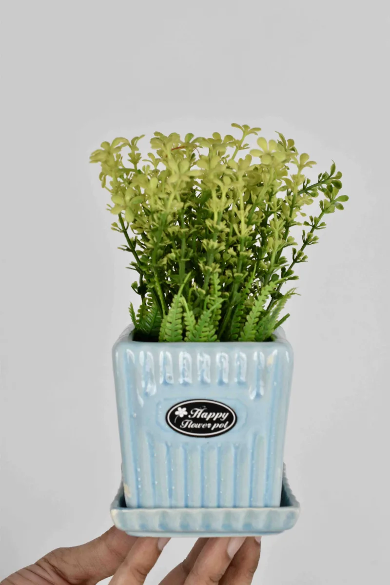 Classic Ceramic Planter — 5" Dia × 4.5" Height — Primary View