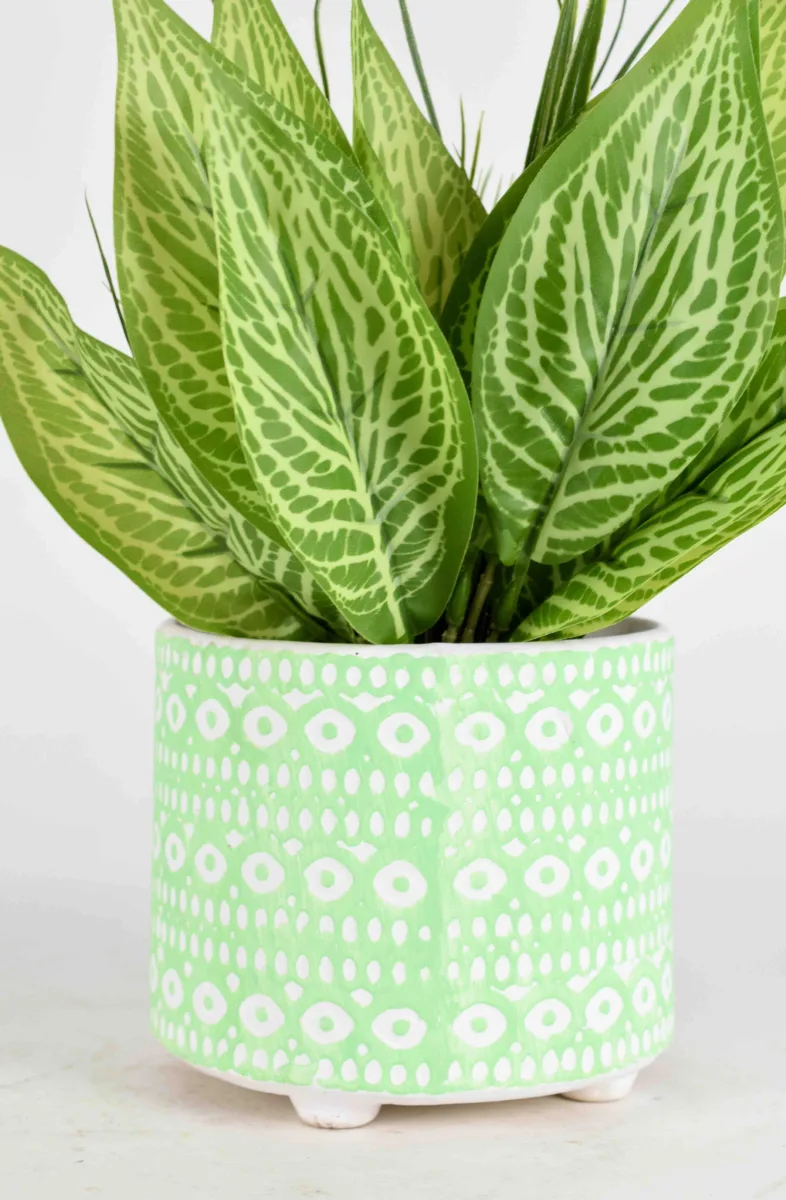 Classic Ceramic Planter — 5.5" Dia × 5.5" Height — Primary View