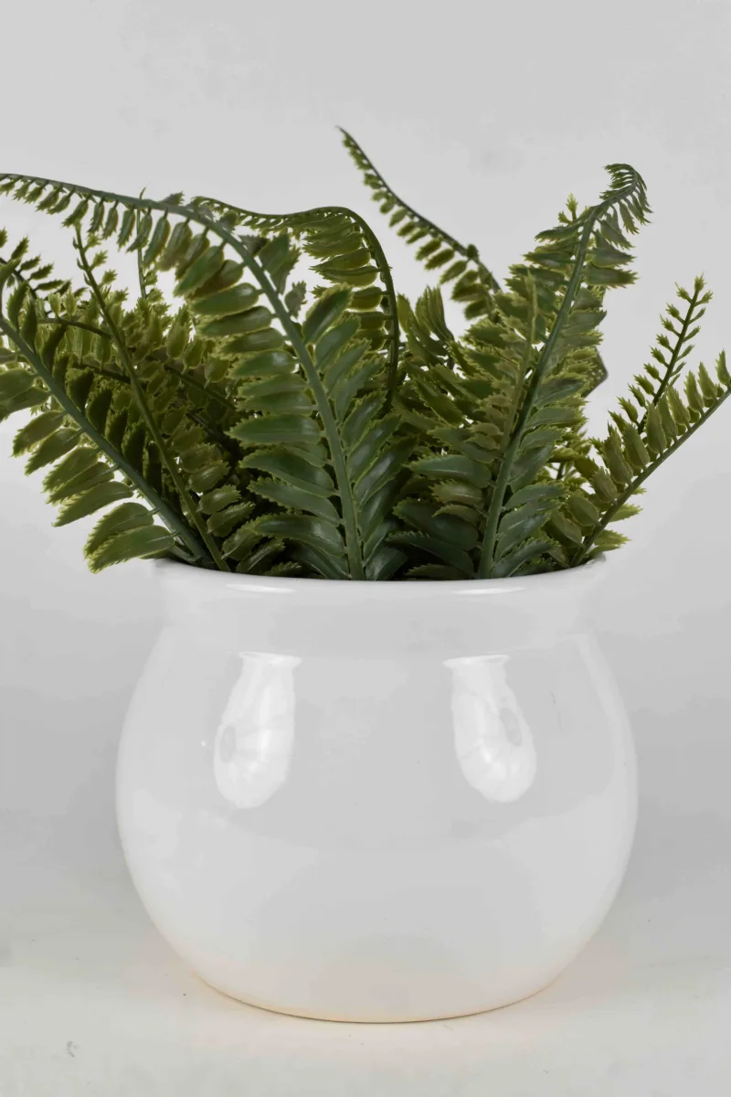 Classic Ceramic Planter — 10" Dia × 8" Height — Primary View