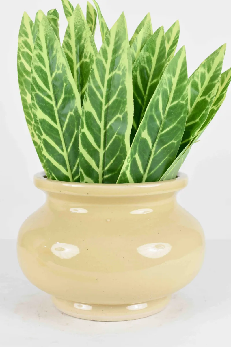 Classic Ceramic Planter — 5" Dia × 4.5" Height — Primary View