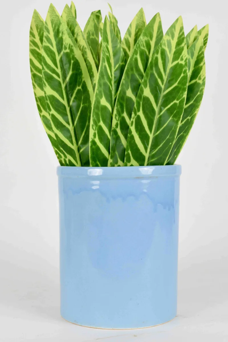 Classic Ceramic Planter — 6" Dia × 6" Height — Primary View