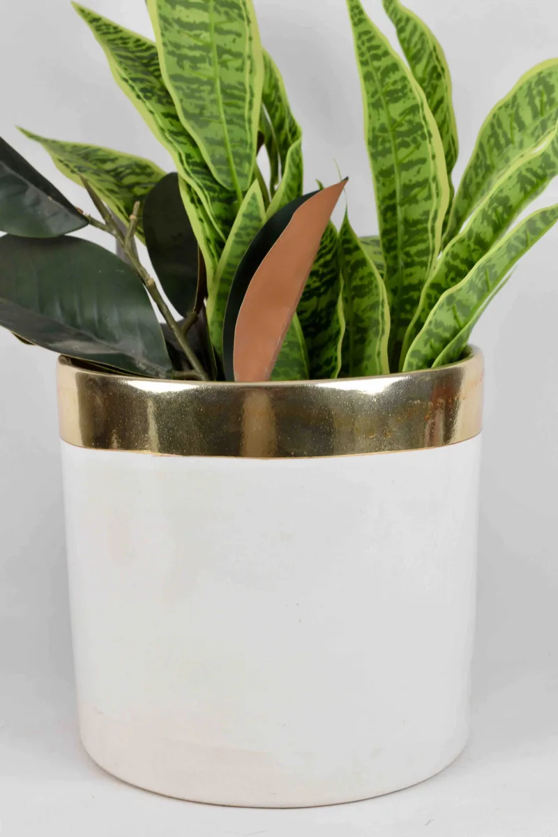 Classic Ceramic Planter — 3.5" Dia — Primary View