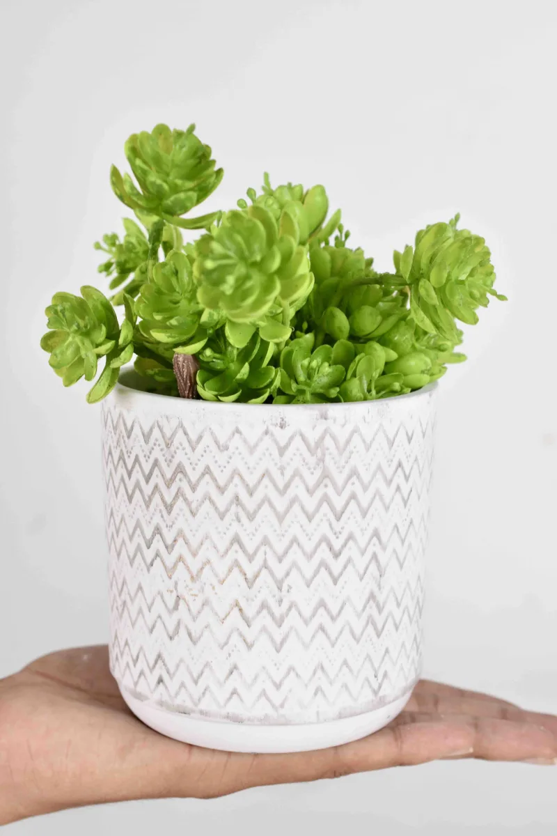 Classic Ceramic Planter — 6" Dia × 5.5" Height — Primary View