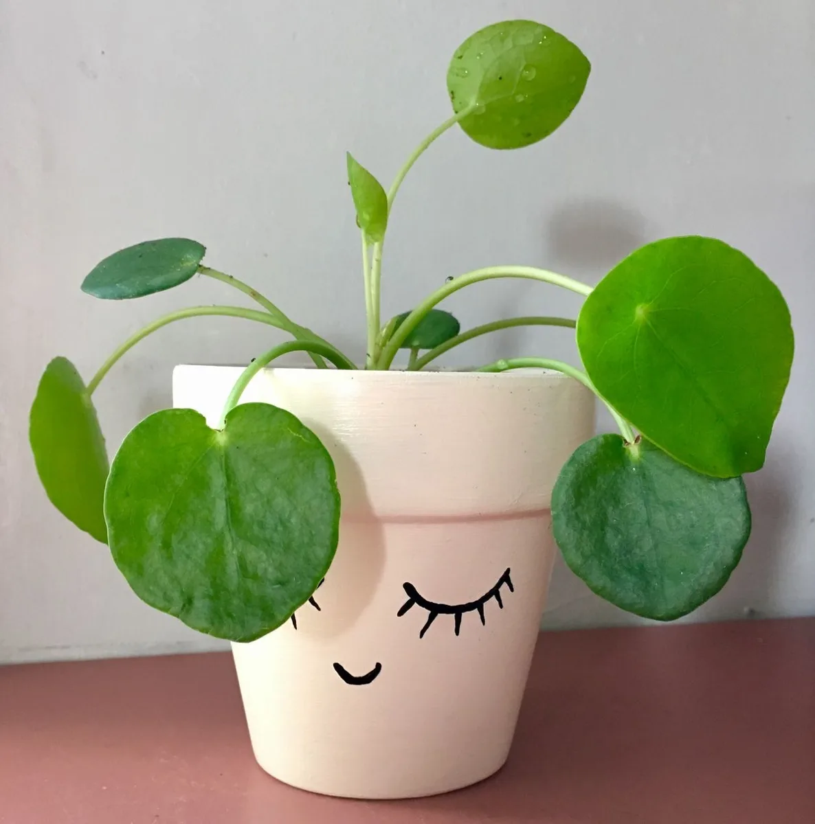 Classic Ceramic Planter — 7" Dia × 4" Height — Primary View