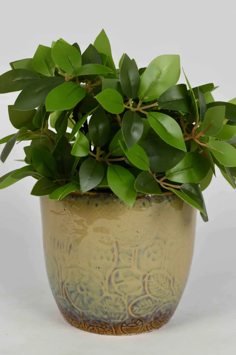 Classic Ceramic Planter — 5.5" Dia × 5.5" Height — Primary View