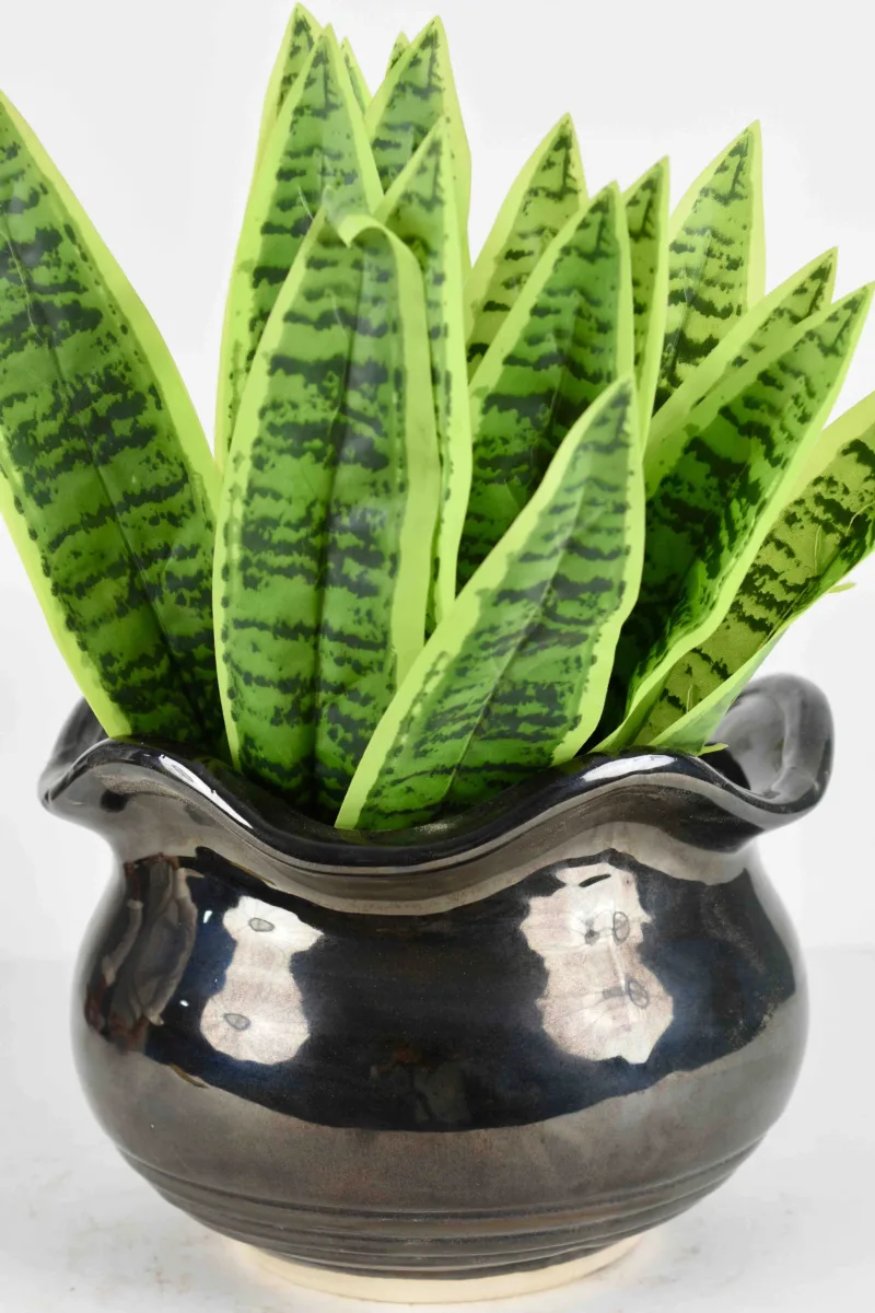 Classic Ceramic Planter — 3" Dia × 3.5" Height — Primary View