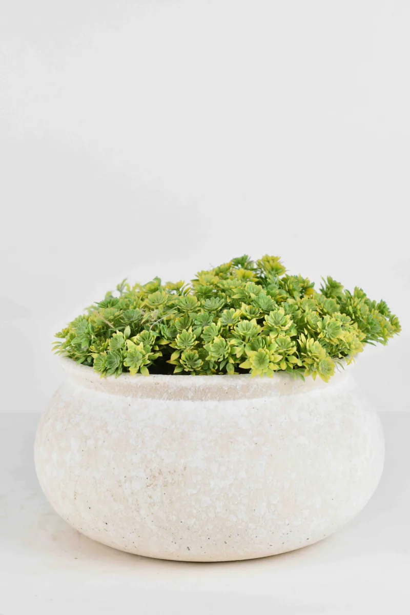 Classic Ceramic Planter — 9" Dia × 8.5" Height — Primary View