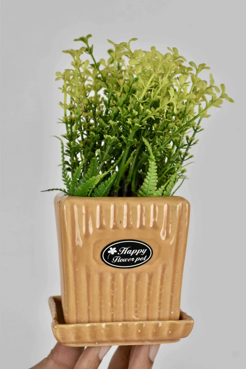 Classic Ceramic Planter — 5.5" Dia × 5.5" Height — Primary View