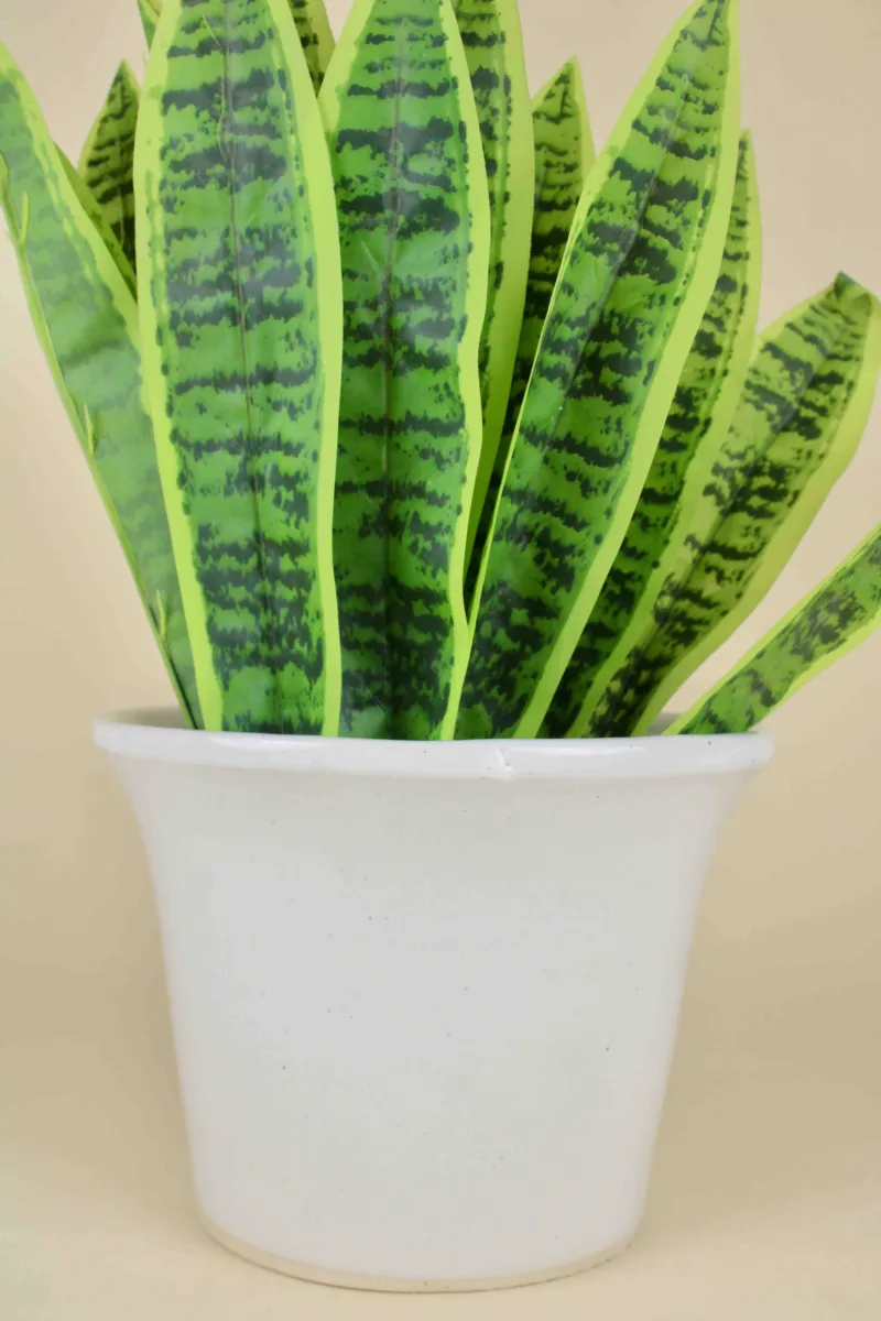 Classic Ceramic Planter — 7.5" Dia × 7.5" Height — Primary View