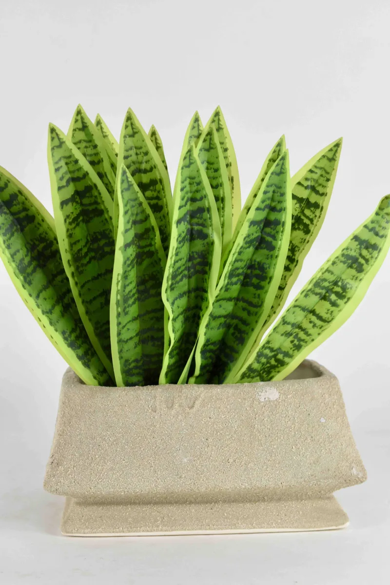 Classic Ceramic Planter — 3.5" Dia × 4" Height — Primary View