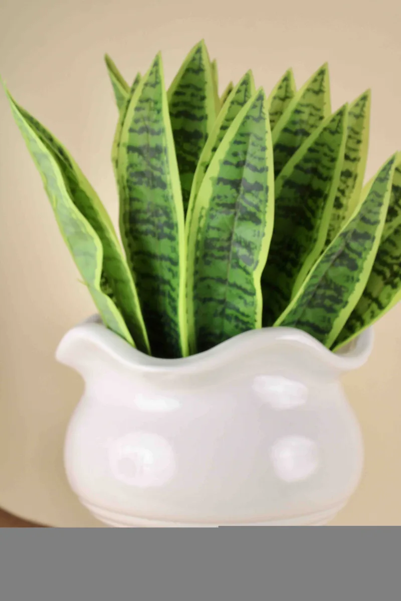 Classic Ceramic Planter — 10" Dia × 5" Height — Primary View