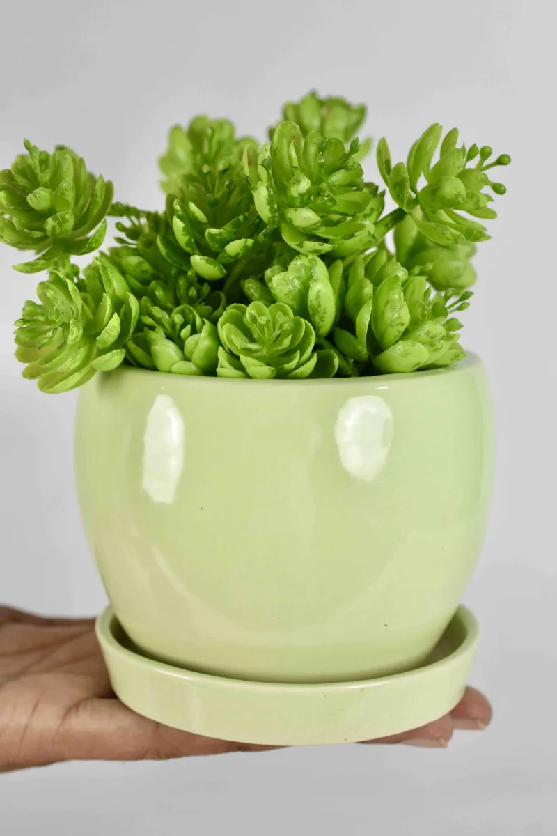 Classic Ceramic Planter — 9" Dia — Primary View