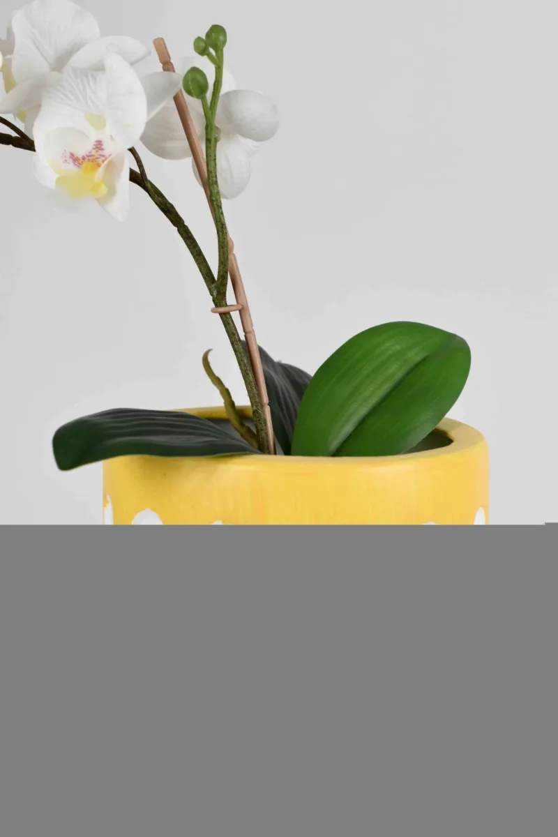 Classic Ceramic Planter — 4.5" Dia × 4.5" Height — Primary View