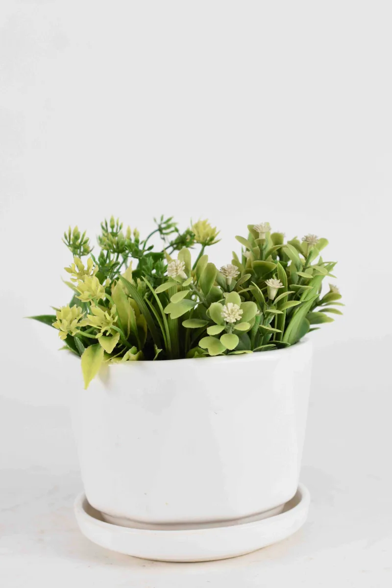 Classic Ceramic Planter — 9.5" Dia × 5.5" Height — Primary View