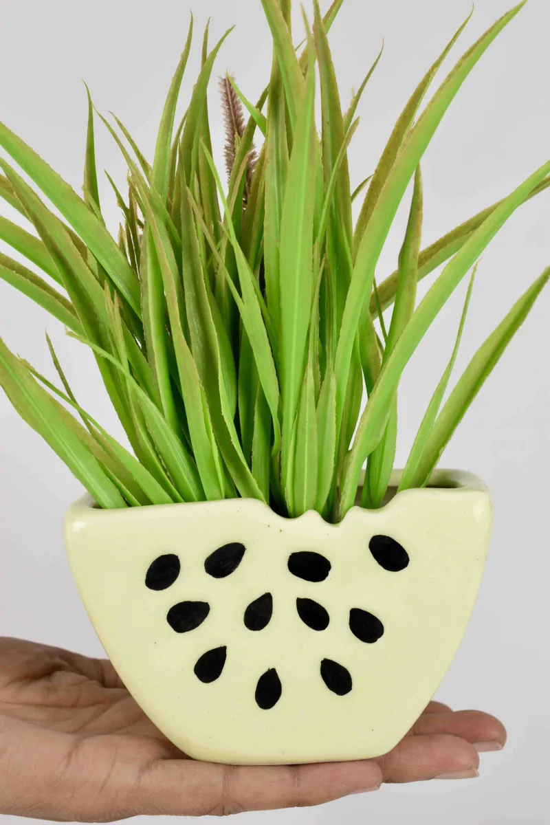 Classic Ceramic Planter — 5" Dia × 3.5" Height — Primary View