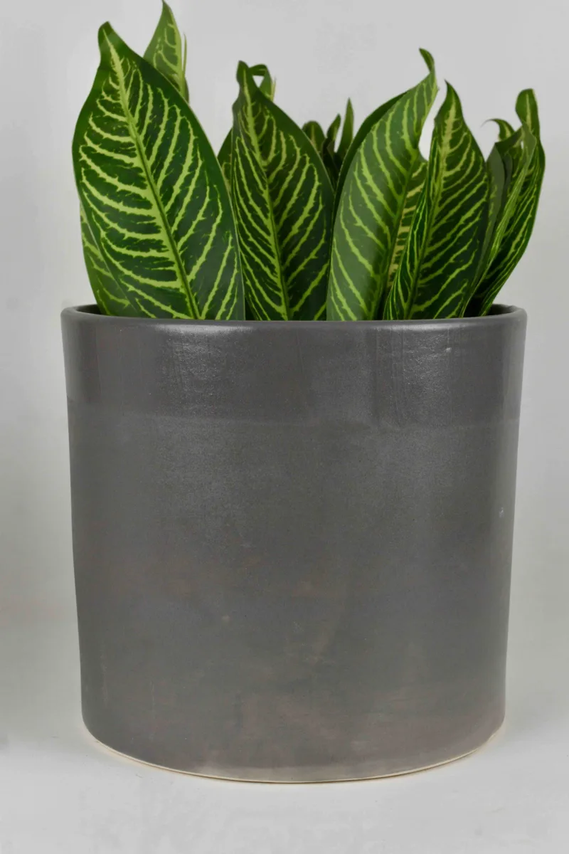 Classic Ceramic Planter — 10" Dia × 5" Height — Primary View