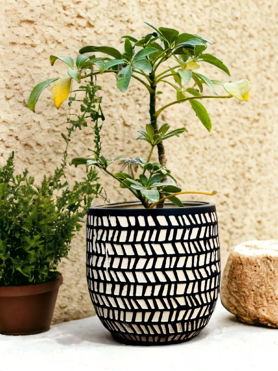 Classic Ceramic Planter — 4.5" Dia × 3.5" Height — Primary View