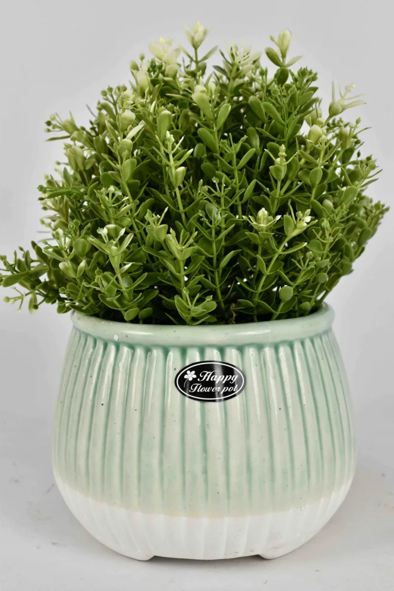 Classic Ceramic Planter — 4.5" Dia × 4" Height — Primary View