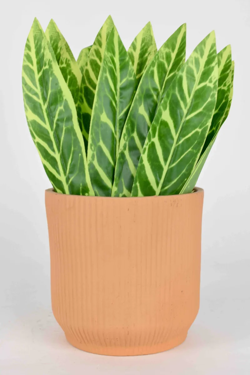 Classic Ceramic Planter — 5.5" Dia × 5" Height — Primary View