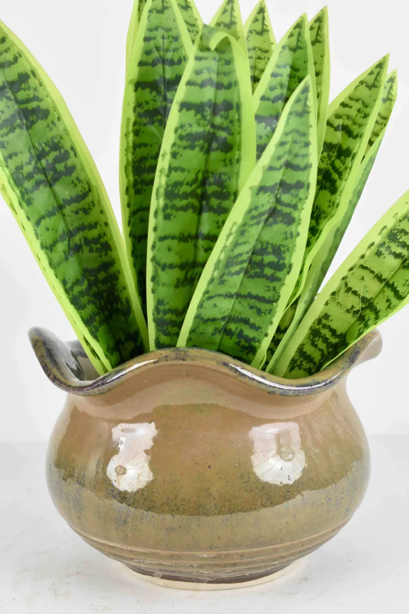 Classic Ceramic Planter — 5" Dia × 6" Height — Primary View