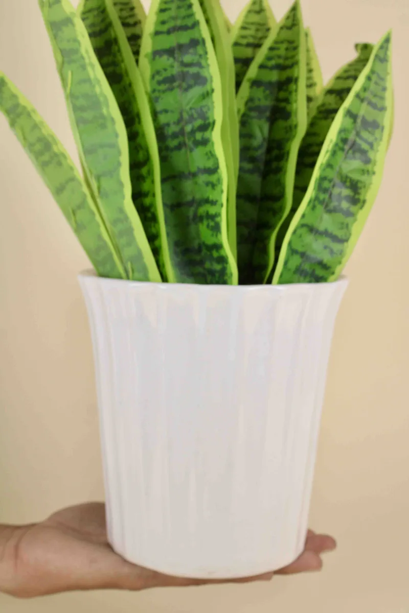 Classic Ceramic Planter — 4.5" Dia × 4" Height — Primary View