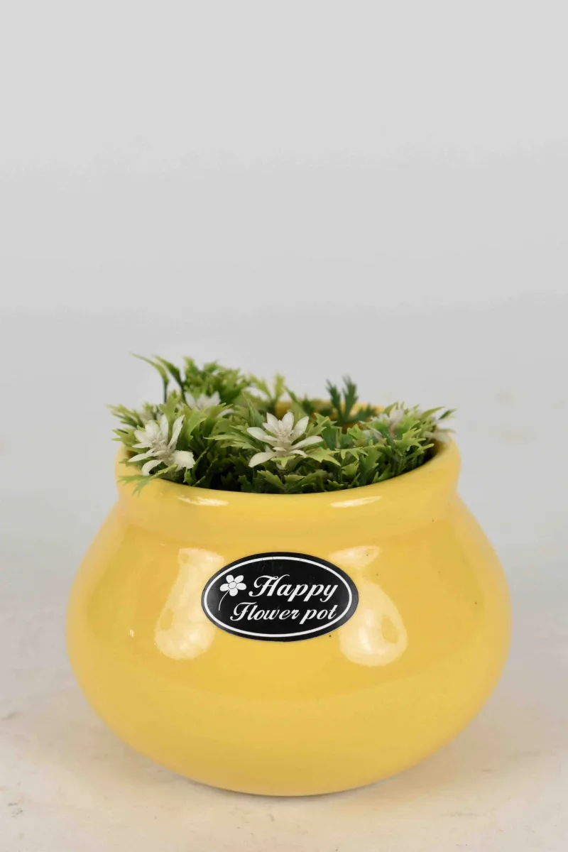 Classic Ceramic Planter — 9" Dia × 6" Height — Primary View