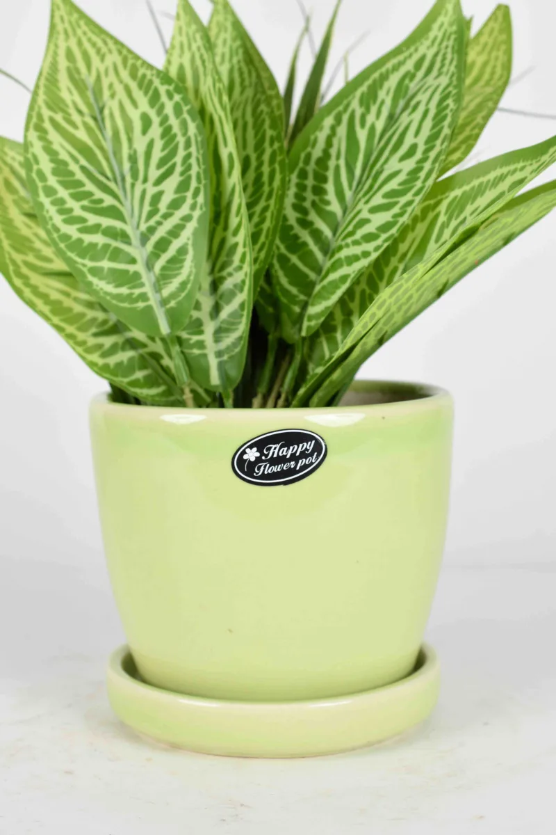 Classic Ceramic Planter — 5.5" Dia × 5" Height — Primary View
