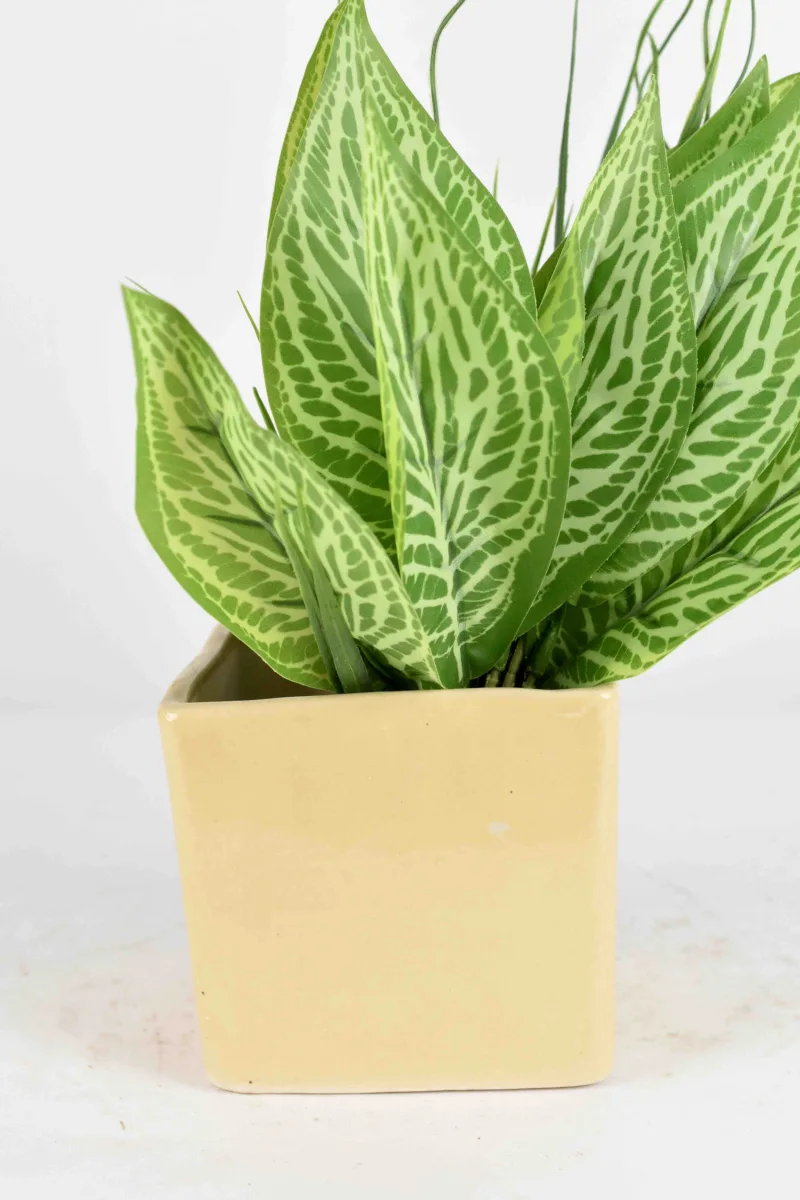 Classic Ceramic Planter — 5.5" Dia × 6" Height — Primary View