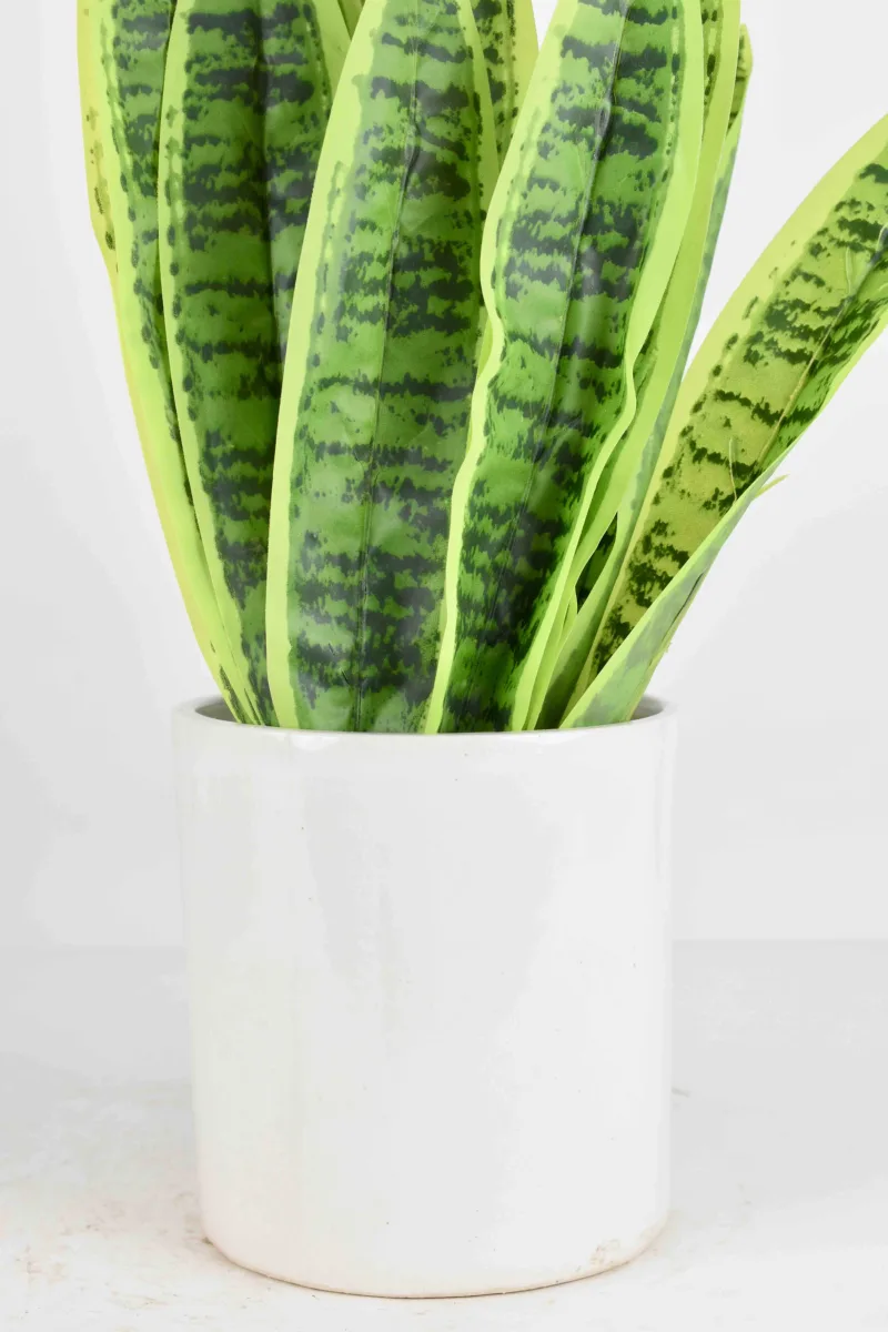 Classic Ceramic Planter — Primary View