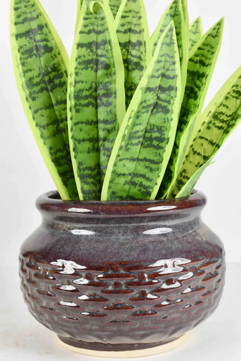Classic Ceramic Planter — 5" Dia × 5" Height — Primary View