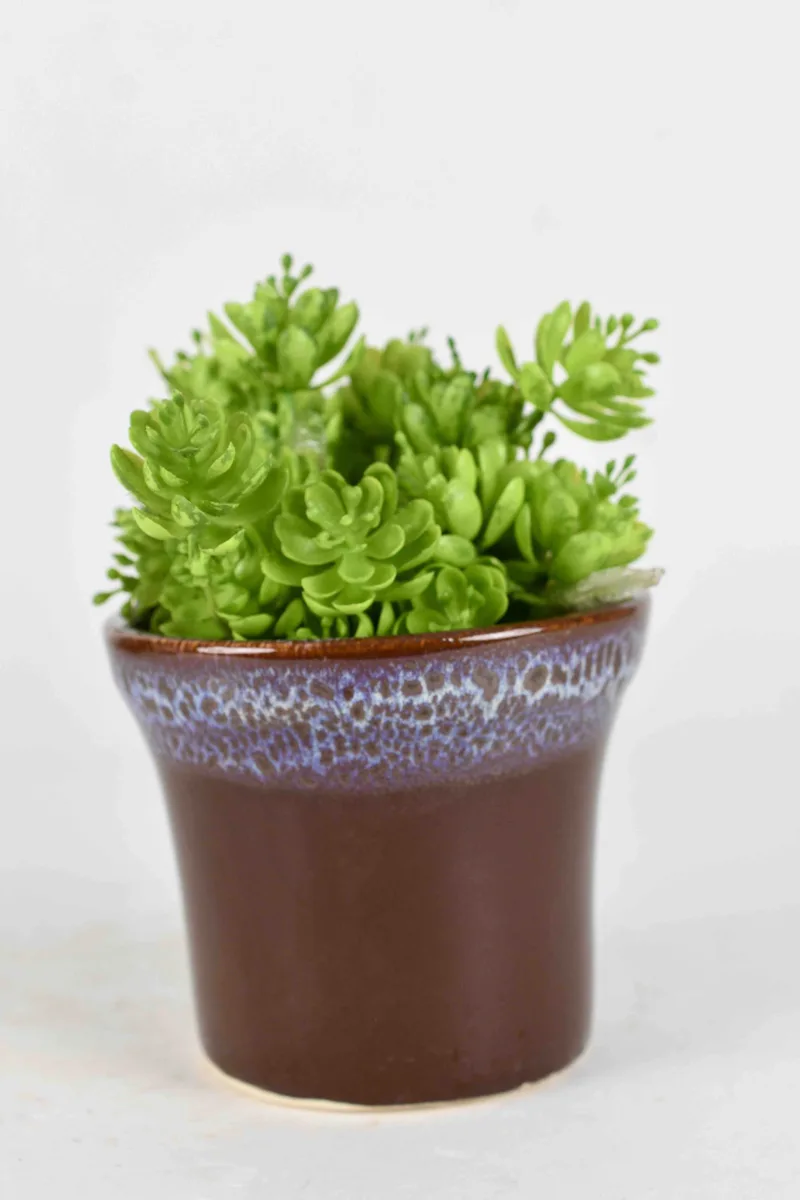 Classic Ceramic Planter — 9" Dia × 3.5" Height — Primary View
