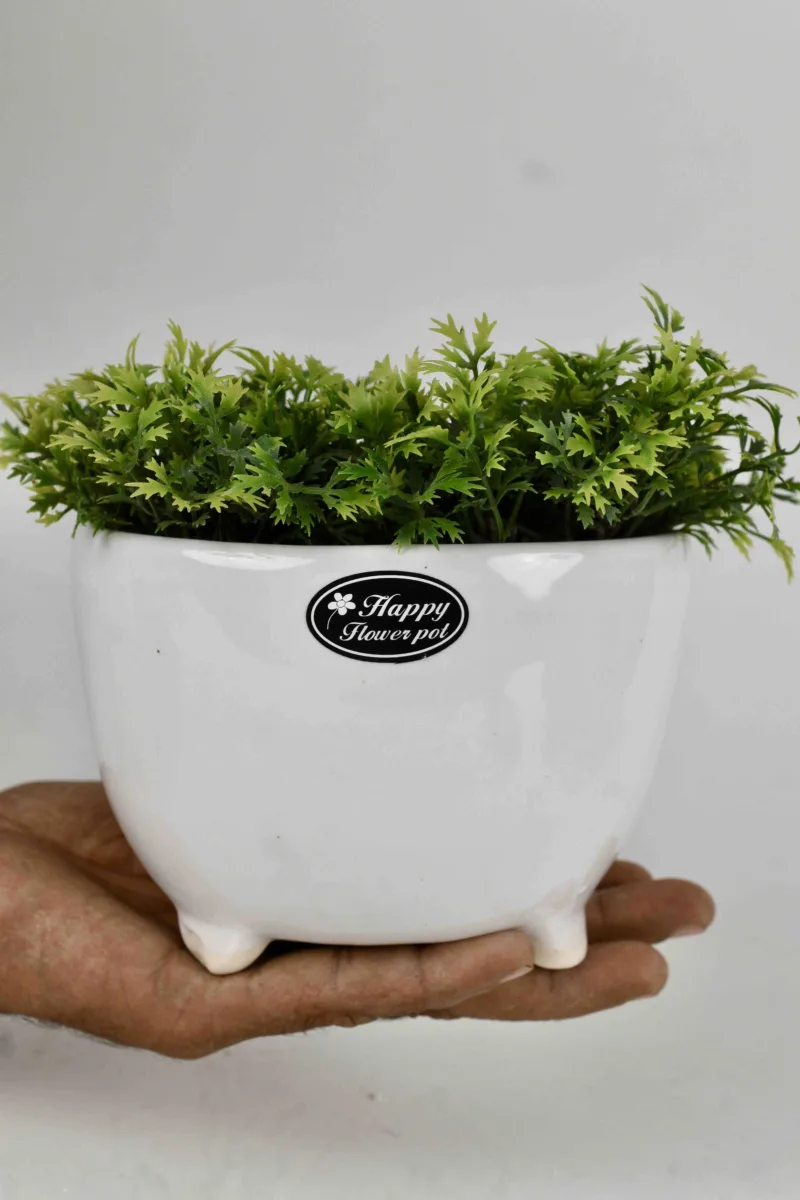 Classic Ceramic Planter — 8" Dia × 6" Height — Primary View