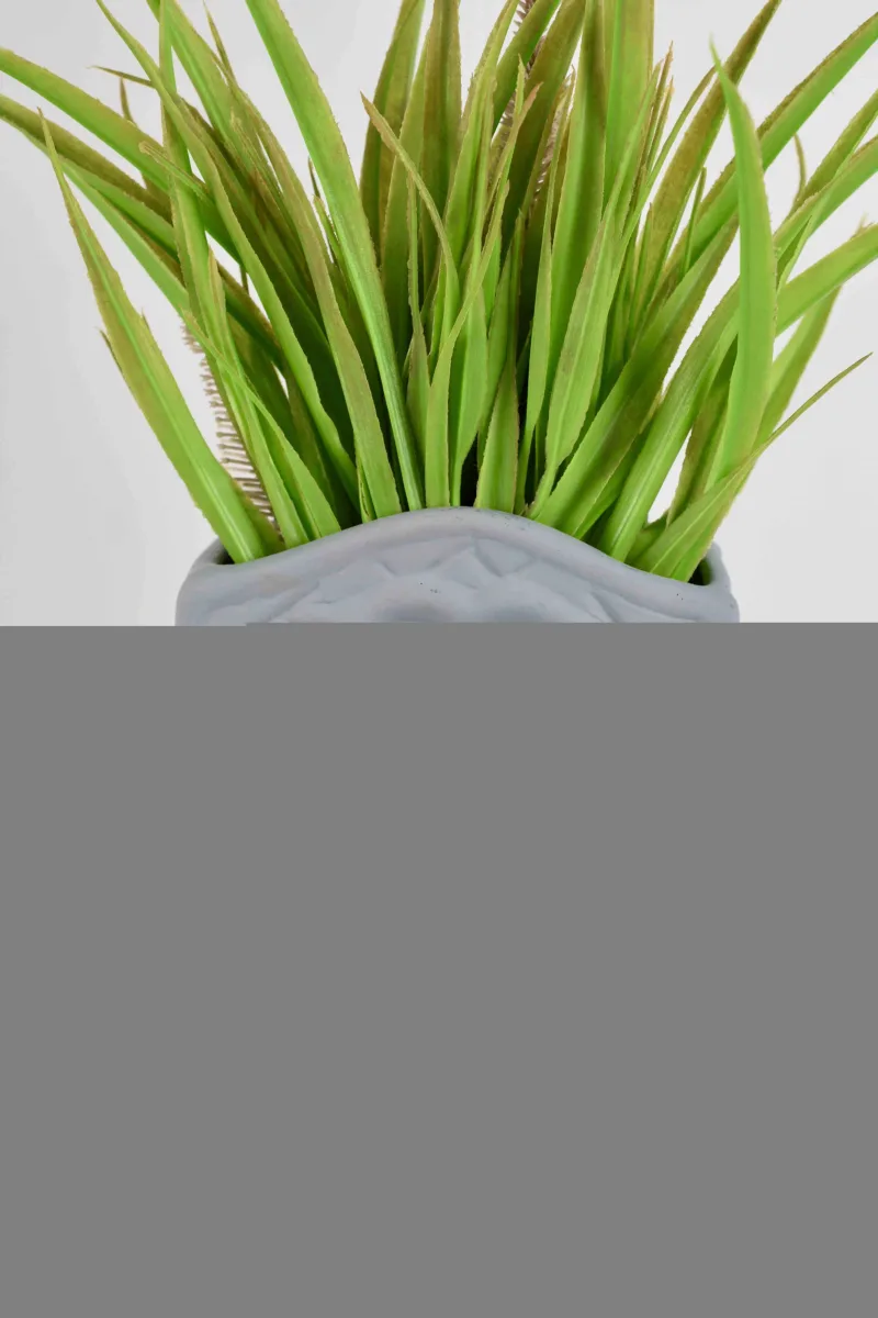 Classic Ceramic Planter — 9.5" Dia × 7.5" Height — Primary View