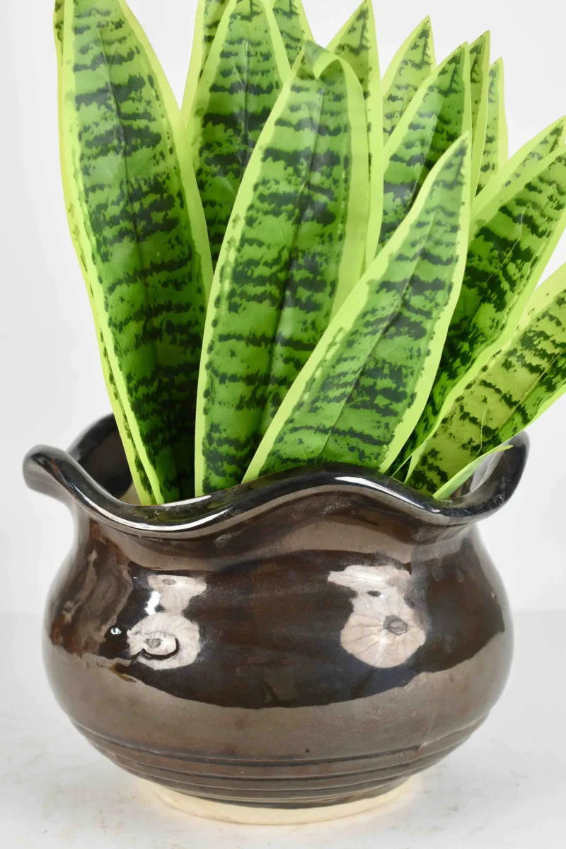 Classic Ceramic Planter — 5" Dia × 4.5" Height — Primary View