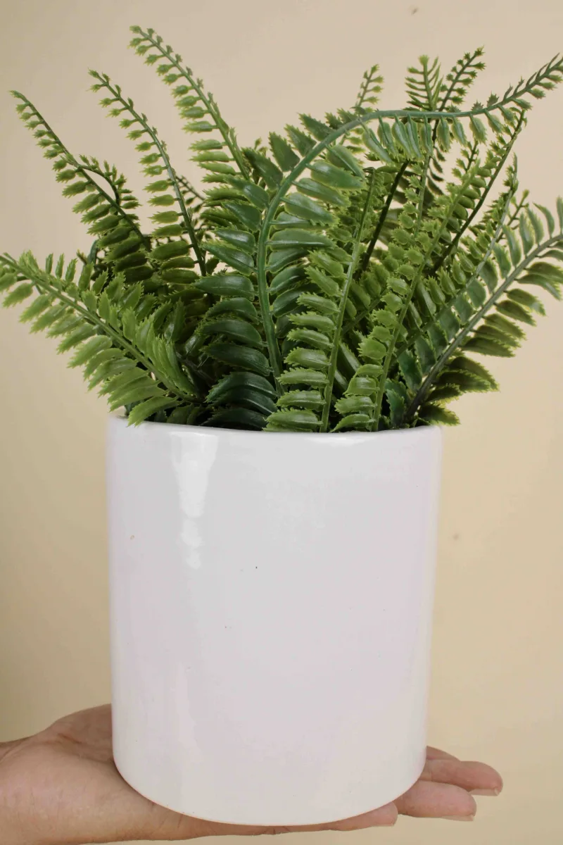 Classic Ceramic Planter — 5.5" Dia × 4" Height — Primary View