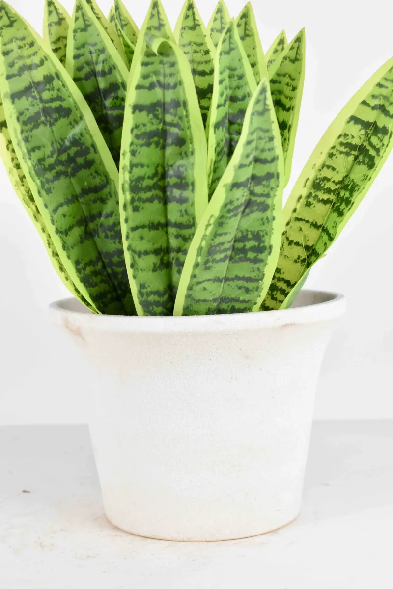 Classic Ceramic Planter — 4.5" Dia × 5" Height — Primary View