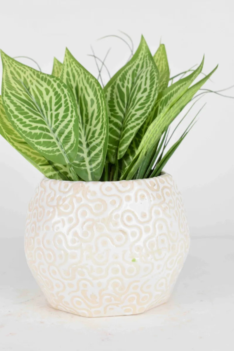 Classic Ceramic Planter — 5.5" Dia × 5.5" Height — Primary View