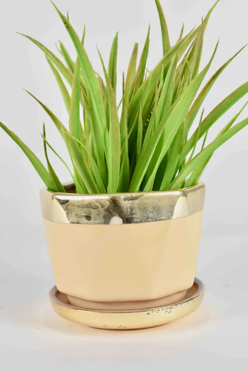 Classic Ceramic Planter — 6" Dia × 6" Height — Primary View