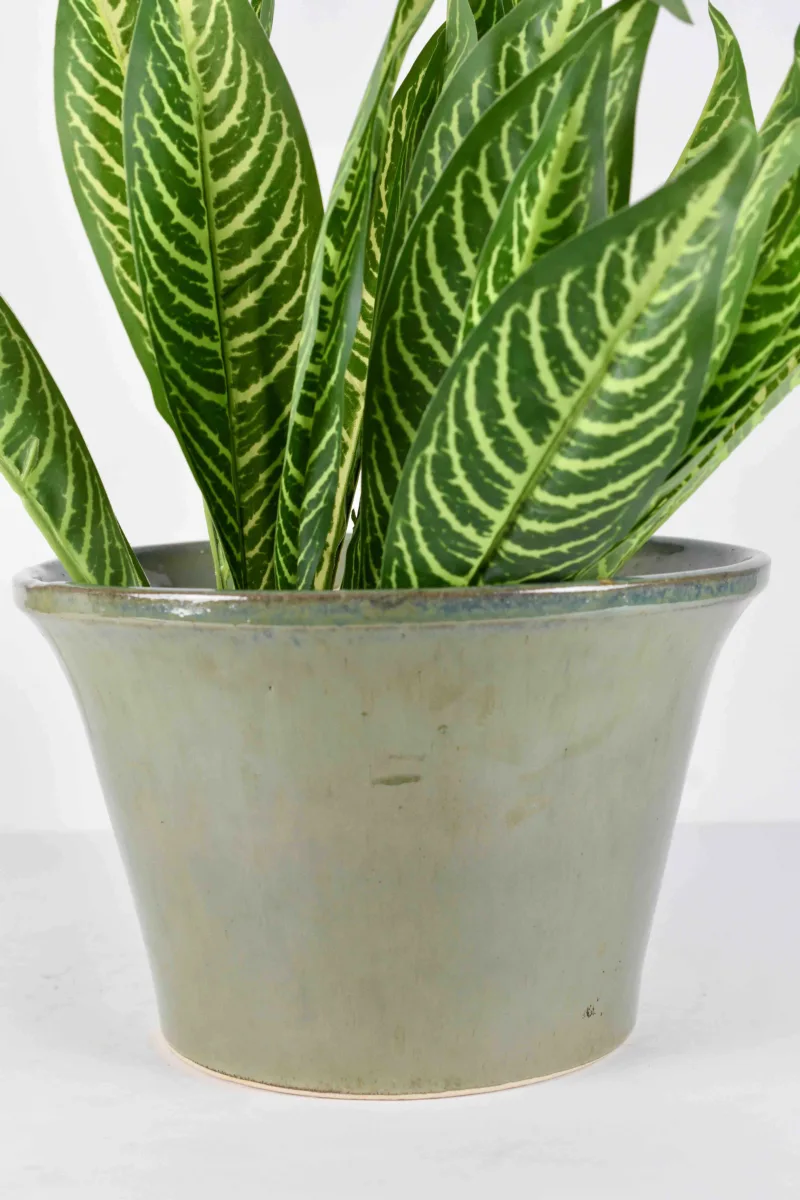 Classic Ceramic Planter — 8.5" Dia × 6" Height — Primary View