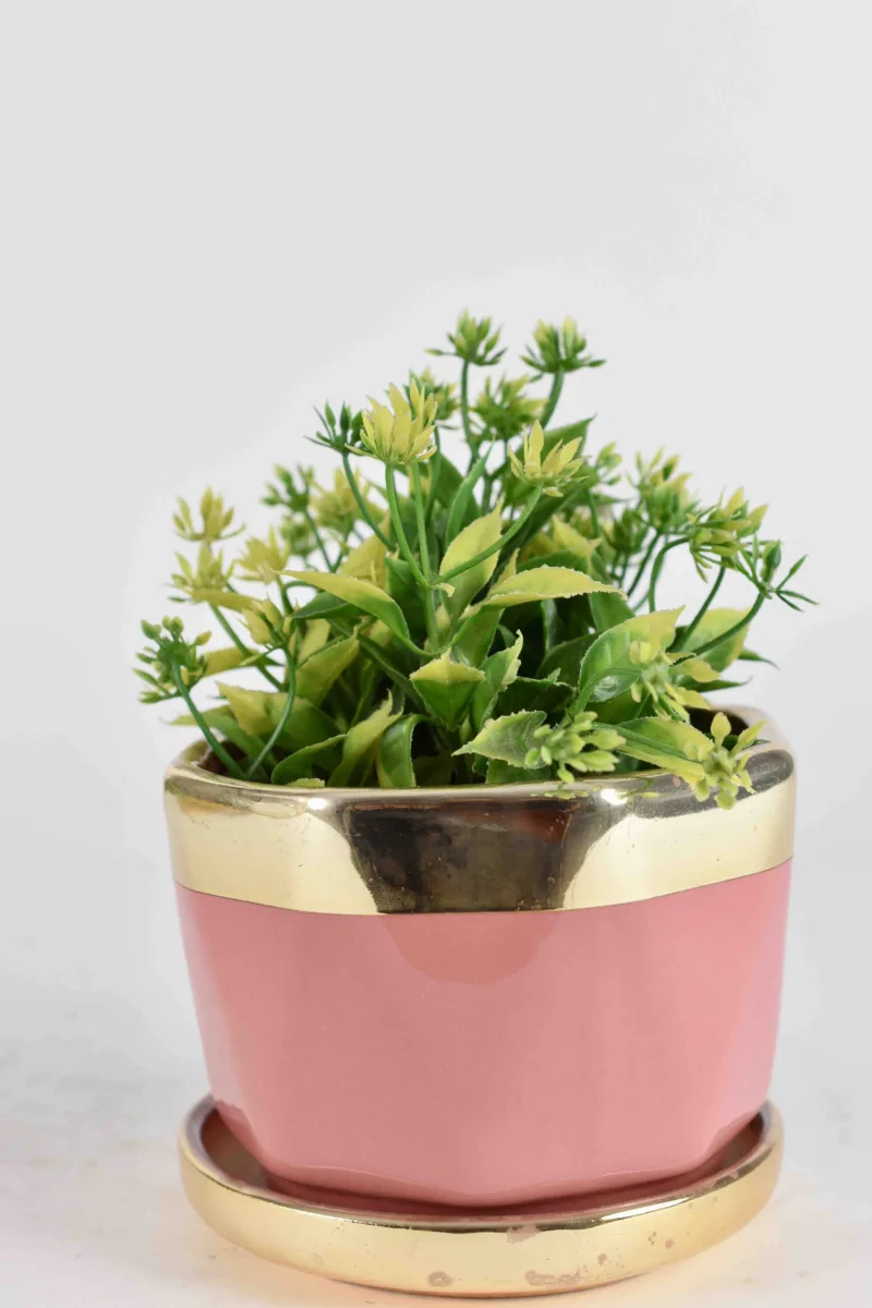 Classic Ceramic Planter — 4" Dia × 4" Height — Primary View