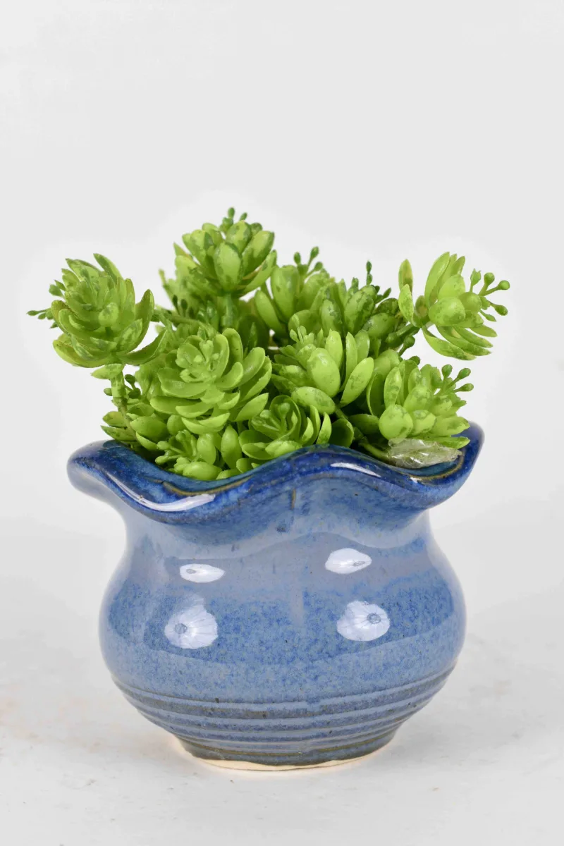 Classic Ceramic Planter — 5.5" Dia × 5.5" Height — Primary View