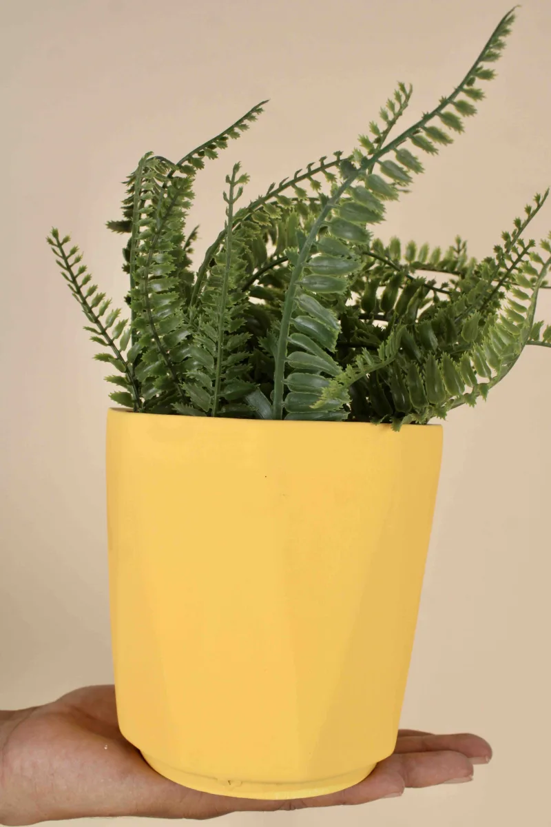 Classic Ceramic Planter — 6" Dia × 5" Height — Primary View